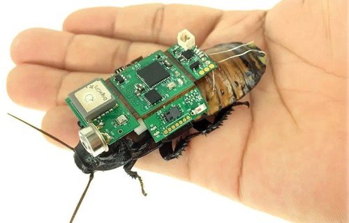 11 这是一种将生命系统与机电系统有机融合